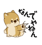 柴犬・茶色い犬のちゃちゃ丸『関西弁』（個別スタンプ：28）