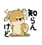 柴犬・茶色い犬のちゃちゃ丸『関西弁』（個別スタンプ：40）