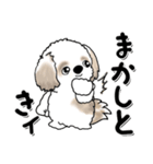 シーズー犬『関西弁』（個別スタンプ：4）