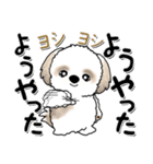 シーズー犬『関西弁』（個別スタンプ：6）