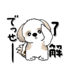 シーズー犬『関西弁』（個別スタンプ：7）