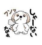 シーズー犬『関西弁』（個別スタンプ：12）