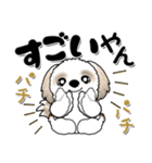 シーズー犬『関西弁』（個別スタンプ：13）