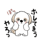 シーズー犬『関西弁』（個別スタンプ：22）