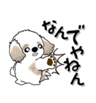 シーズー犬『関西弁』（個別スタンプ：28）