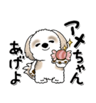 シーズー犬『関西弁』（個別スタンプ：34）