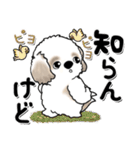 シーズー犬『関西弁』（個別スタンプ：40）