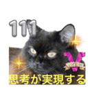 黒猫 ルナ院長111にゃんめ（個別スタンプ：1）