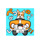 コーギースタンプ （ペコちゃん）2（個別スタンプ：37）