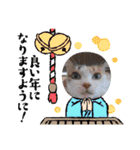 ティララナレイ（個別スタンプ：4）