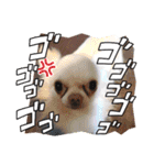 ティララナレイ（個別スタンプ：7）