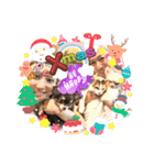 ティララナレイ（個別スタンプ：14）
