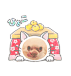 ティララナレイ（個別スタンプ：15）