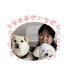 磯家の犬達 と孫（個別スタンプ：19）