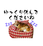 磨呂ティンスタンプの巻（個別スタンプ：7）