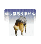 磨呂ティンスタンプの巻（個別スタンプ：24）