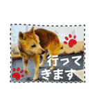磨呂ティンスタンプの巻（個別スタンプ：27）