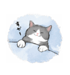 うちの子グレー白猫！(にほんねこ)（個別スタンプ：38）