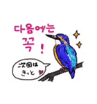 誘い誘われ文句を韓国語/日本語で野鳥が（個別スタンプ：4）