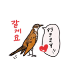 誘い誘われ文句を韓国語/日本語で野鳥が（個別スタンプ：5）