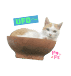 たまおくんUFOに乗る（個別スタンプ：1）