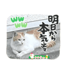 たまおくんUFOに乗る（個別スタンプ：2）