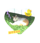 たまおくんUFOに乗る（個別スタンプ：3）