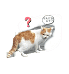 たまおくんUFOに乗る（個別スタンプ：4）