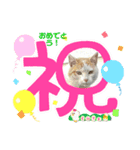 たまおくんUFOに乗る（個別スタンプ：7）