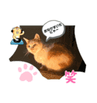 たまおくんUFOに乗る（個別スタンプ：8）