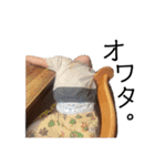 関西弁・ほがちん（個別スタンプ：14）