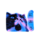 とんちゃん一家（個別スタンプ：1）