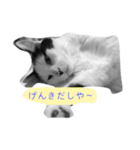 とんちゃん一家（個別スタンプ：18）