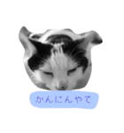 とんちゃん一家（個別スタンプ：26）