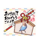 セキセイインコのあおちゃんです（個別スタンプ：40）