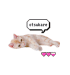 ゆずまるららスタンプ（個別スタンプ：14）