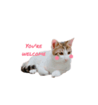 ゆずまるららスタンプ（個別スタンプ：16）