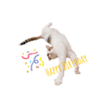 ゆずまるららスタンプ（個別スタンプ：17）