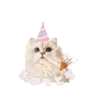 ペルシャ猫連絡スタンプ（個別スタンプ：33）