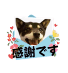 黒豆健太スタンプ7（個別スタンプ：5）