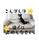 黒豆健太スタンプ7（個別スタンプ：8）