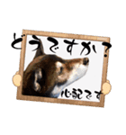 黒豆健太スタンプ7（個別スタンプ：12）