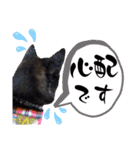 黒豆健太スタンプ7（個別スタンプ：13）