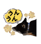 黒豆健太スタンプ7（個別スタンプ：22）