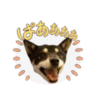 黒豆健太スタンプ7（個別スタンプ：26）