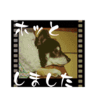 黒豆健太スタンプ7（個別スタンプ：27）