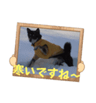 黒豆健太スタンプ7（個別スタンプ：40）
