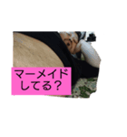 俺のスタンプ其の参（個別スタンプ：8）