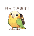 インコ日記（個別スタンプ：1）