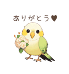 インコ日記（個別スタンプ：5）